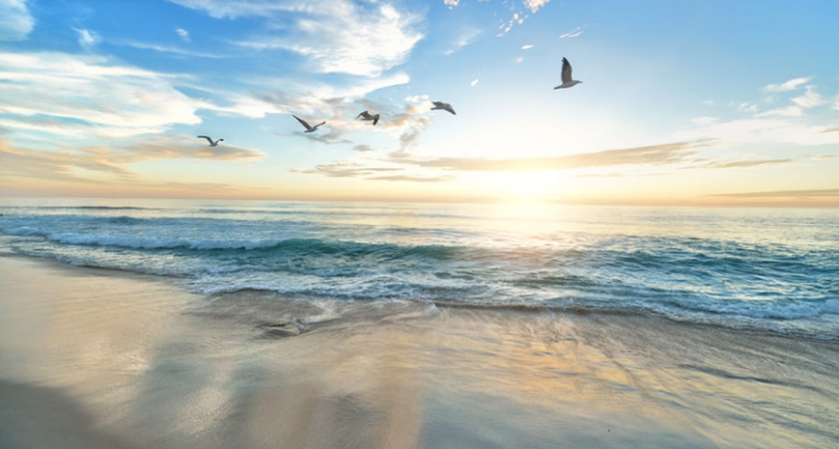 QLB (Quantum Light Breath)